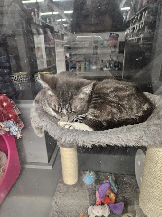 Petco Picture 9