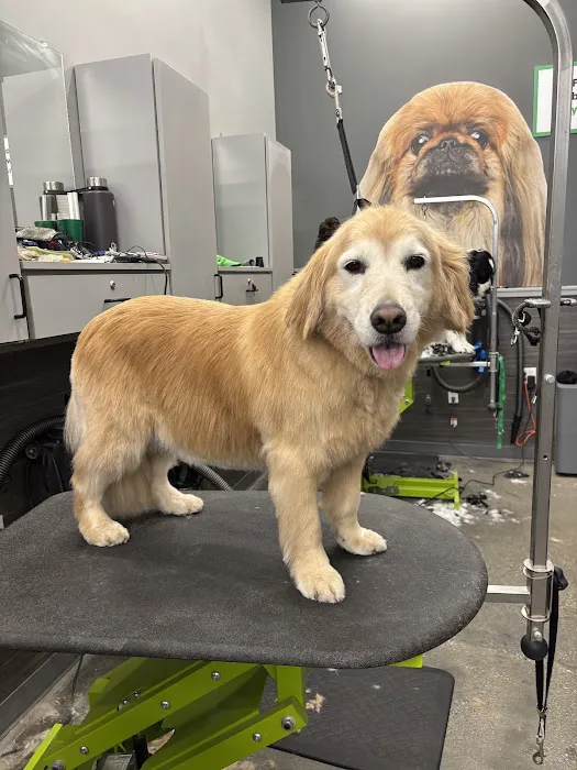 Pet Supplies Plus Long Beach-Los Altos Picture 7