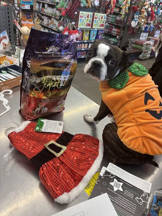 Pet Supplies Plus Long Beach-Los Altos Picture 6