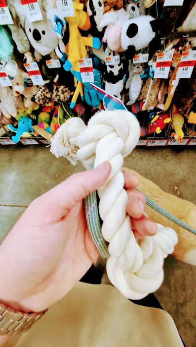 Pet Supplies Plus Long Beach-Los Altos Picture 10