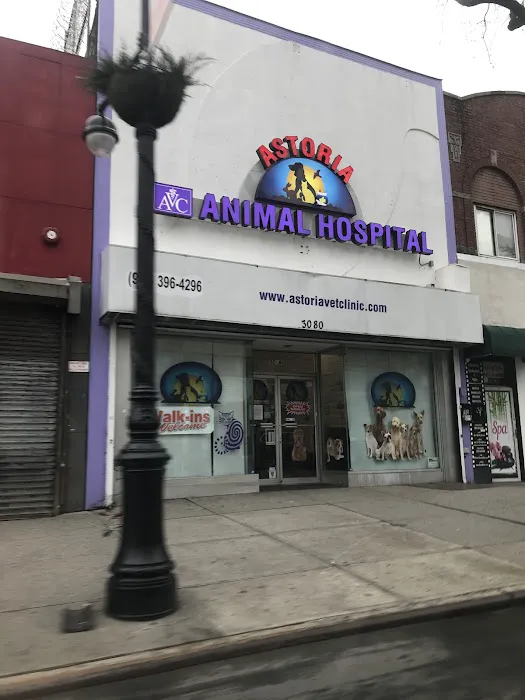 Astoria Animal Hospital Picture 3