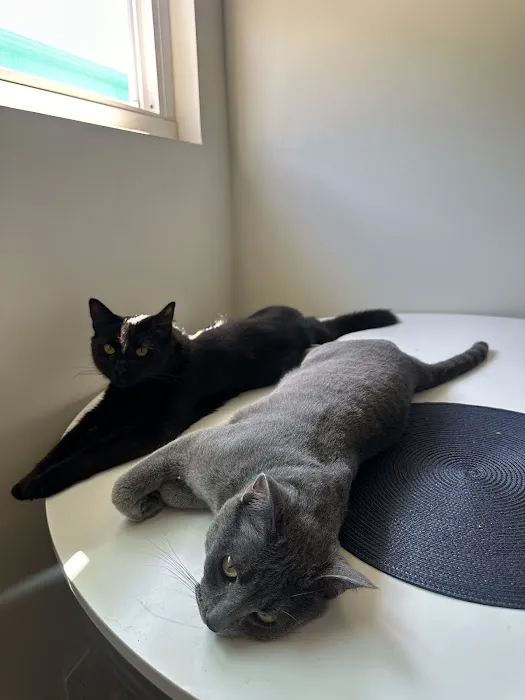 Astoria Animal Hospital Picture 1