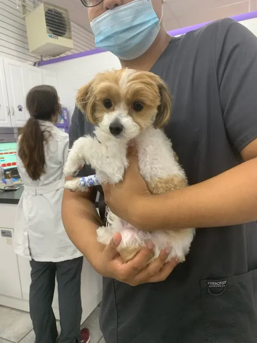 Astoria Animal Hospital Picture 6