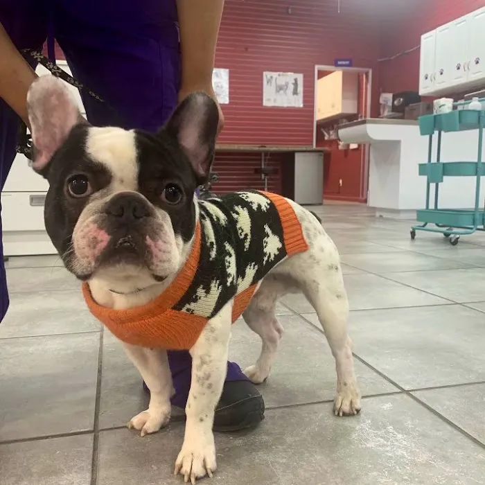 Astoria Animal Hospital Picture 5