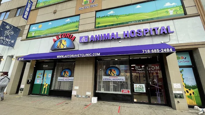 Astoria Animal Hospital Picture 4