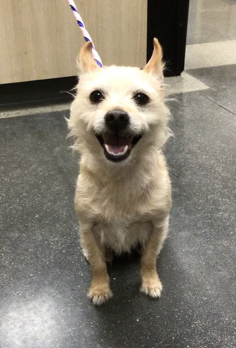 Petco Picture 2