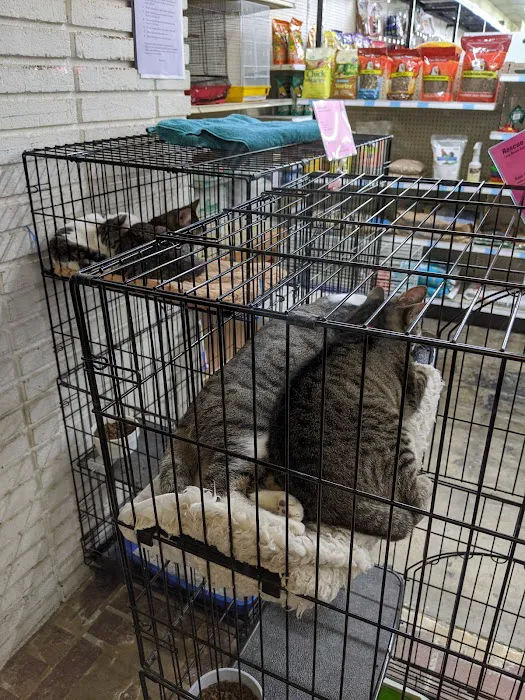 Paw Shoppe Pet Center Picture 8