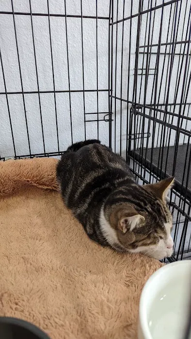 Paw Shoppe Pet Center Picture 10