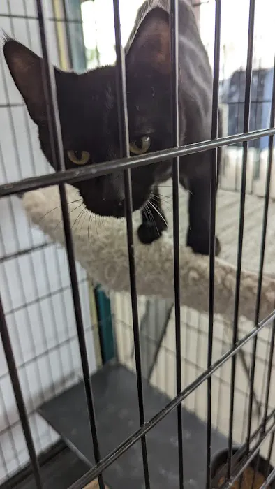 Paw Shoppe Pet Center Picture 9