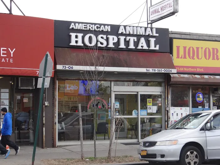 St Mark Animal Clinic / Jackson Heights Animal Clinic Picture 2