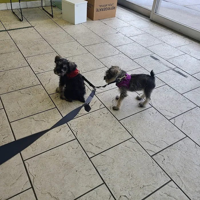 St Mark Animal Clinic / Jackson Heights Animal Clinic Picture 9