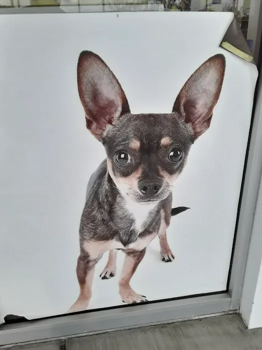 Unleashed by Petco Picture 5