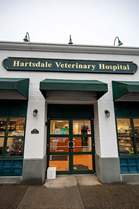 Hartsdale Veterinary Hospital Picture 10