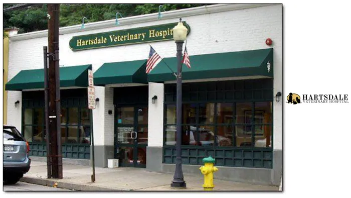 Hartsdale Veterinary Hospital Picture 9