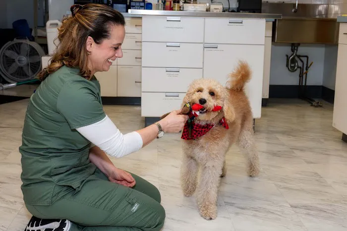 Hartsdale Veterinary Hospital Picture 5