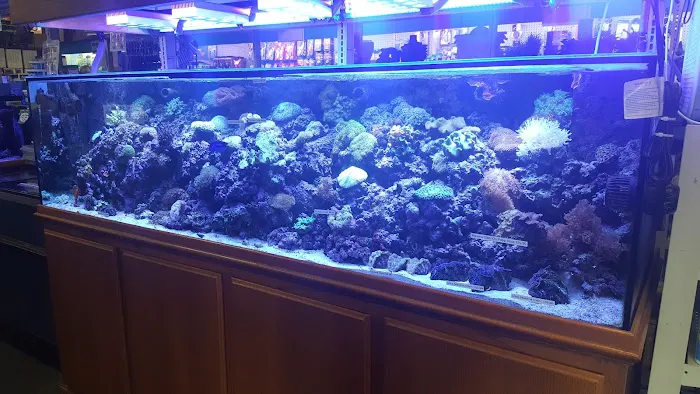 Strictly Fish Picture 1