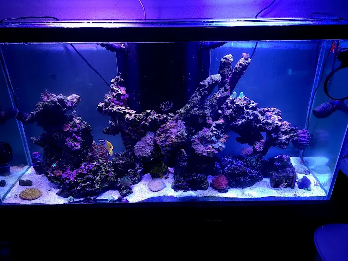 Strictly Fish Picture 3
