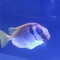 White Plains Veterinary Hospital ico