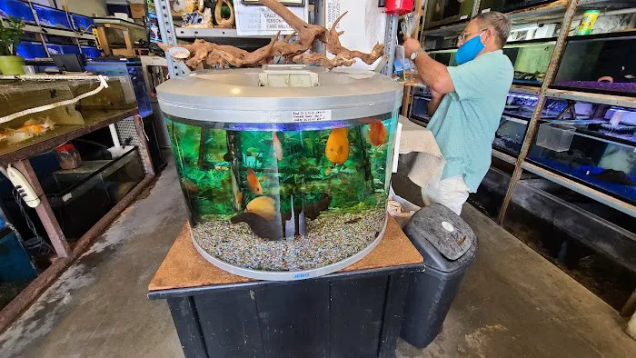 Atlantic Tropical Aquarium Picture 10