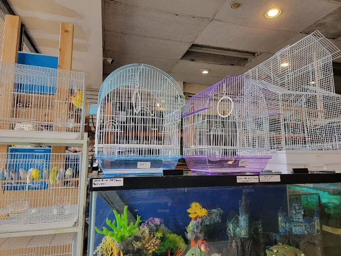Atlantic Tropical Aquarium Picture 8