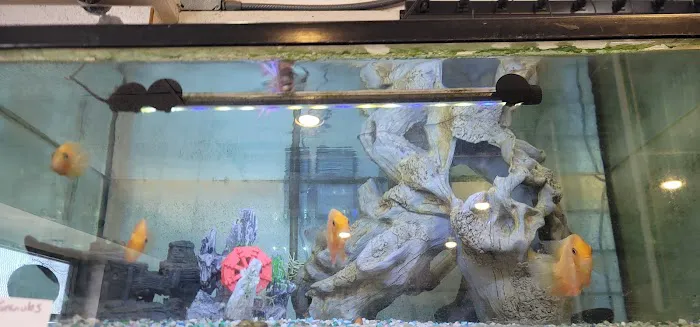 Atlantic Tropical Aquarium Picture 3