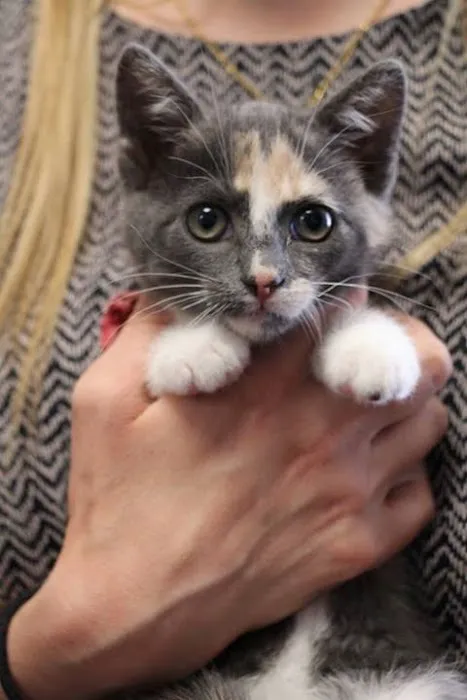 Bond Animal Hospital Picture 5