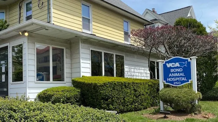 Bond Animal Hospital Picture 10
