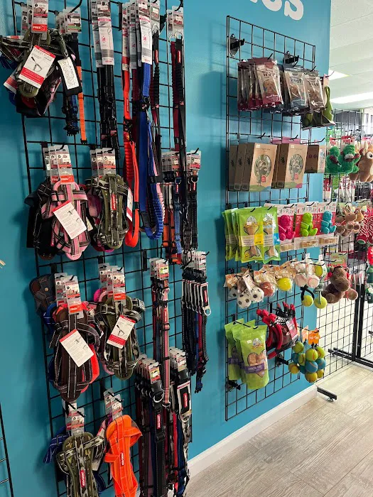 Paws Pet Food Picture 6