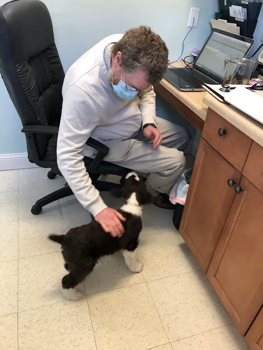 Kent Animal Clinic Picture 2