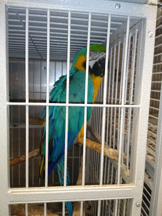 El Granero Pet Shop Picture 3