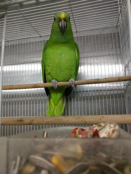 El Granero Pet Shop Picture 4