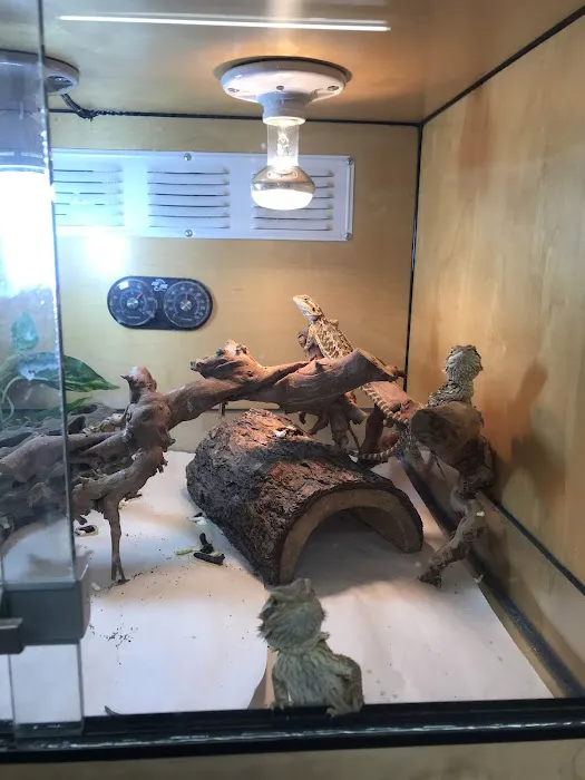 Rainbow Reptile Store Picture 1