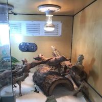Rainbow Reptile Store ico