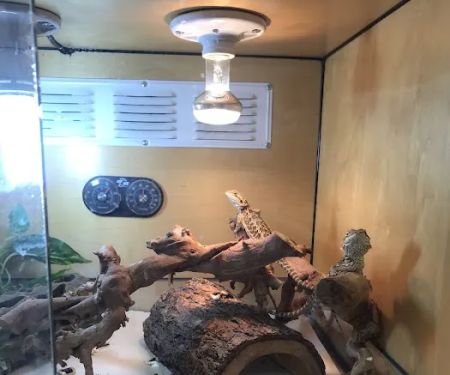 Rainbow Reptile Store