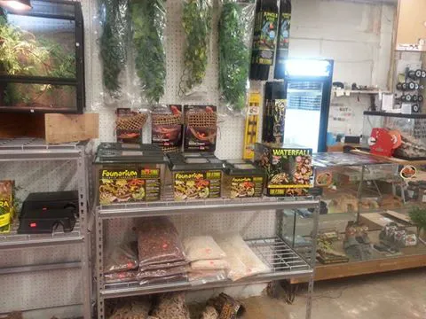 Rainbow Reptile Store Picture 4