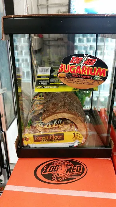 Rainbow Reptile Store Picture 9