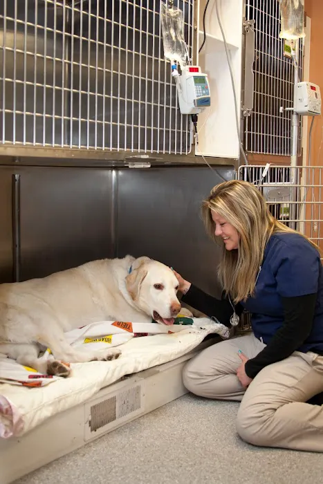 Aspetuck Animal Hospital Picture 5