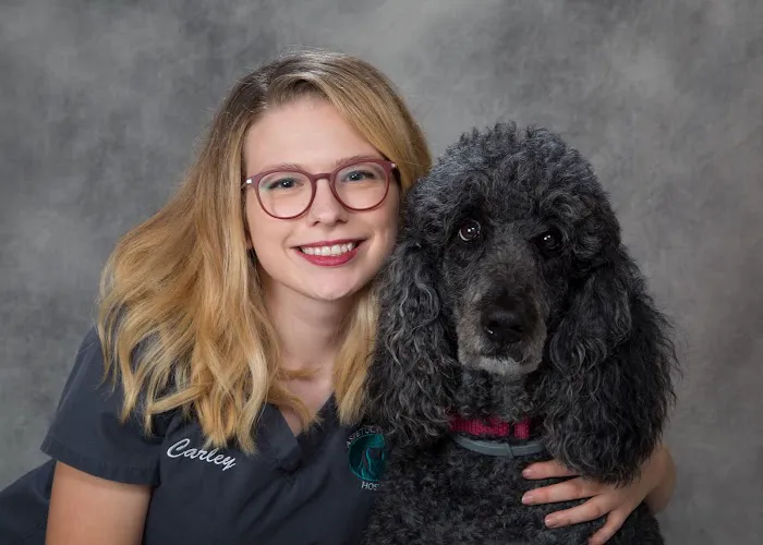 Aspetuck Animal Hospital Picture 7