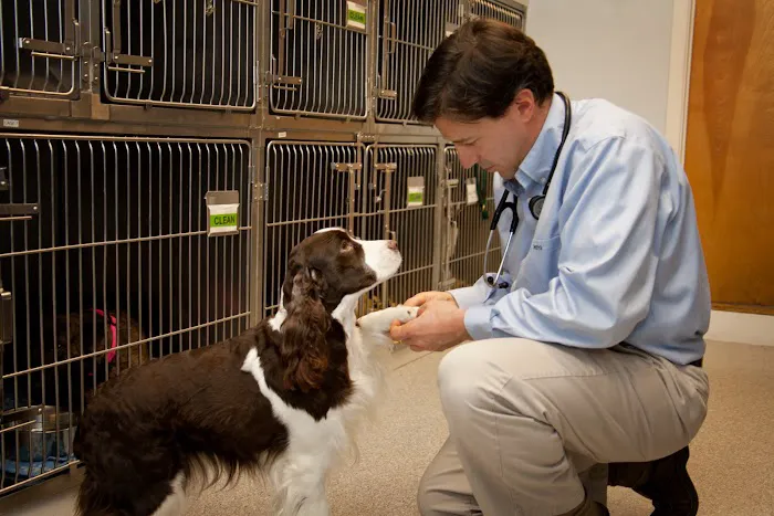 Aspetuck Animal Hospital Picture 3