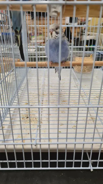 Carol's Pet Center Picture 2