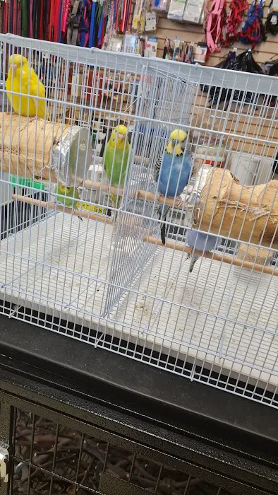Carol's Pet Center Picture 3