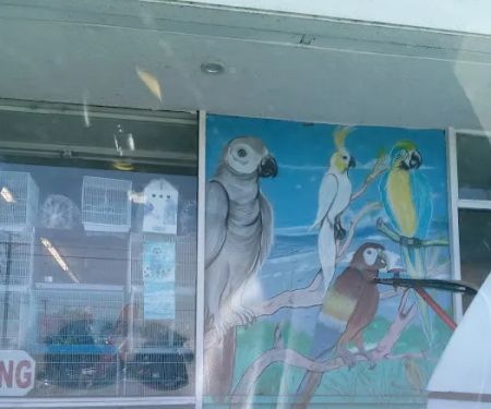 Carol's Pet Center