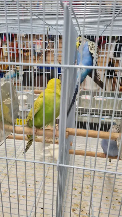 Carol's Pet Center Picture 4