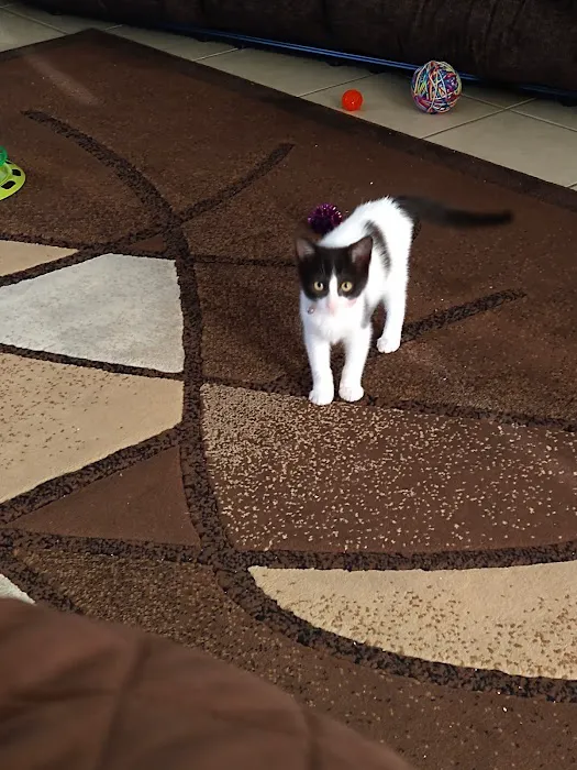Carol's Pet Center Picture 8