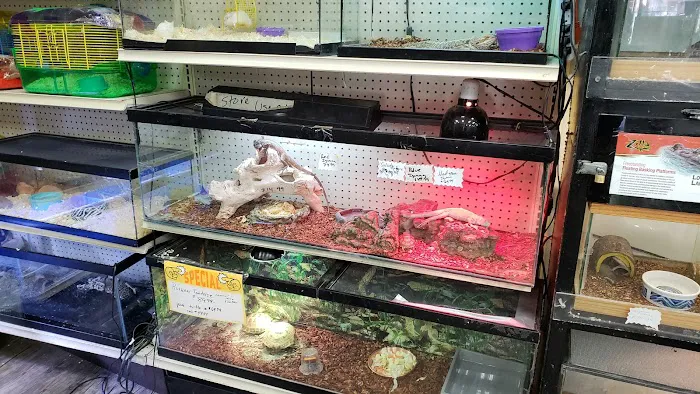 Royal Pet Center Picture 3