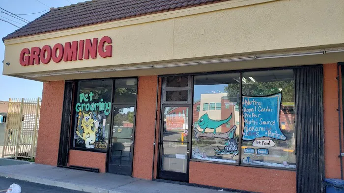 Royal Pet Center Picture 7
