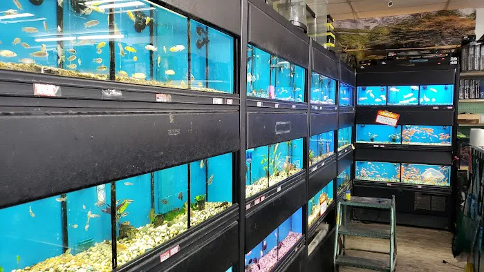Royal Pet Center Picture 5
