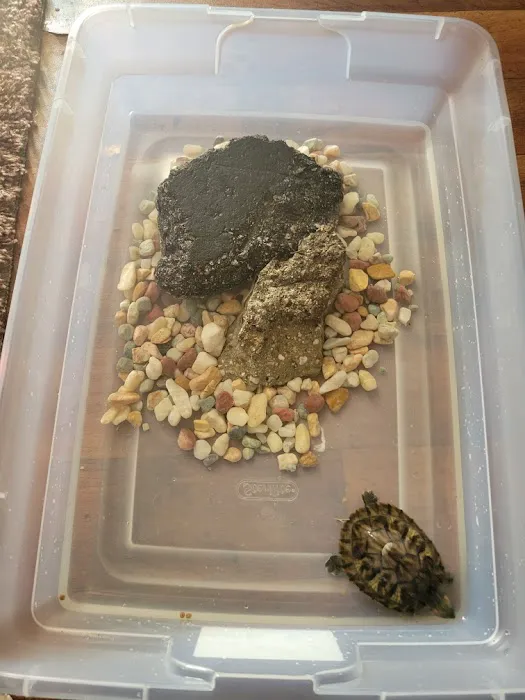 Royal Pet Center Picture 1
