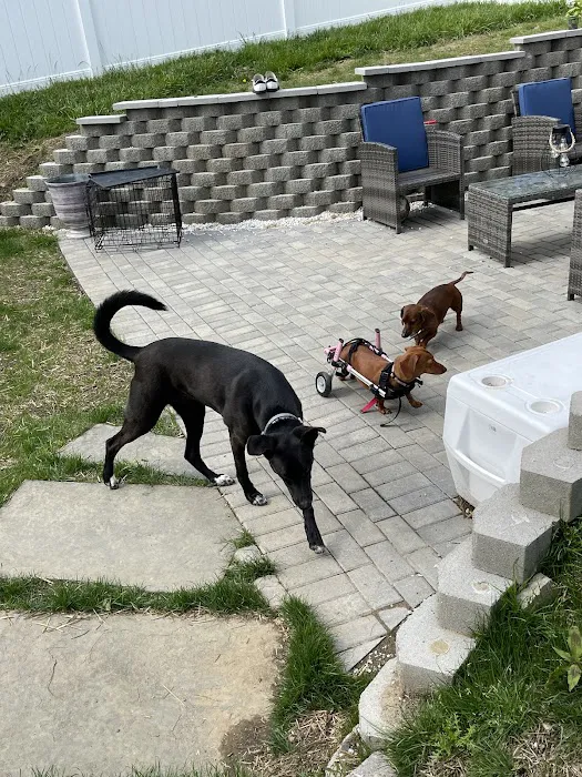 Candlewood Animal Hospital Picture 2