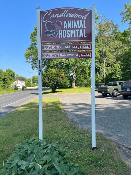 Candlewood Animal Hospital Picture 5